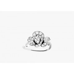 Ring Les Saisissantes MM 049